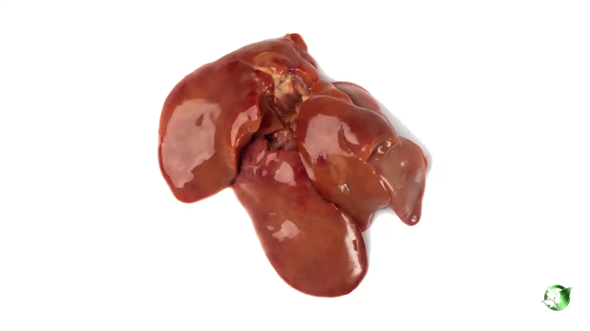 Bulk Chicken Liver | Suppliers | Wholesale | ParsaFood Global